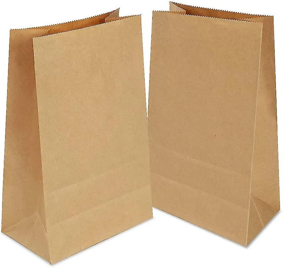 100 Kraft Paper Bag, 9 X 18 X5.5 Cm Small Paper Bag, Gift Bags 100% Recycled Kraft Paper (brown)