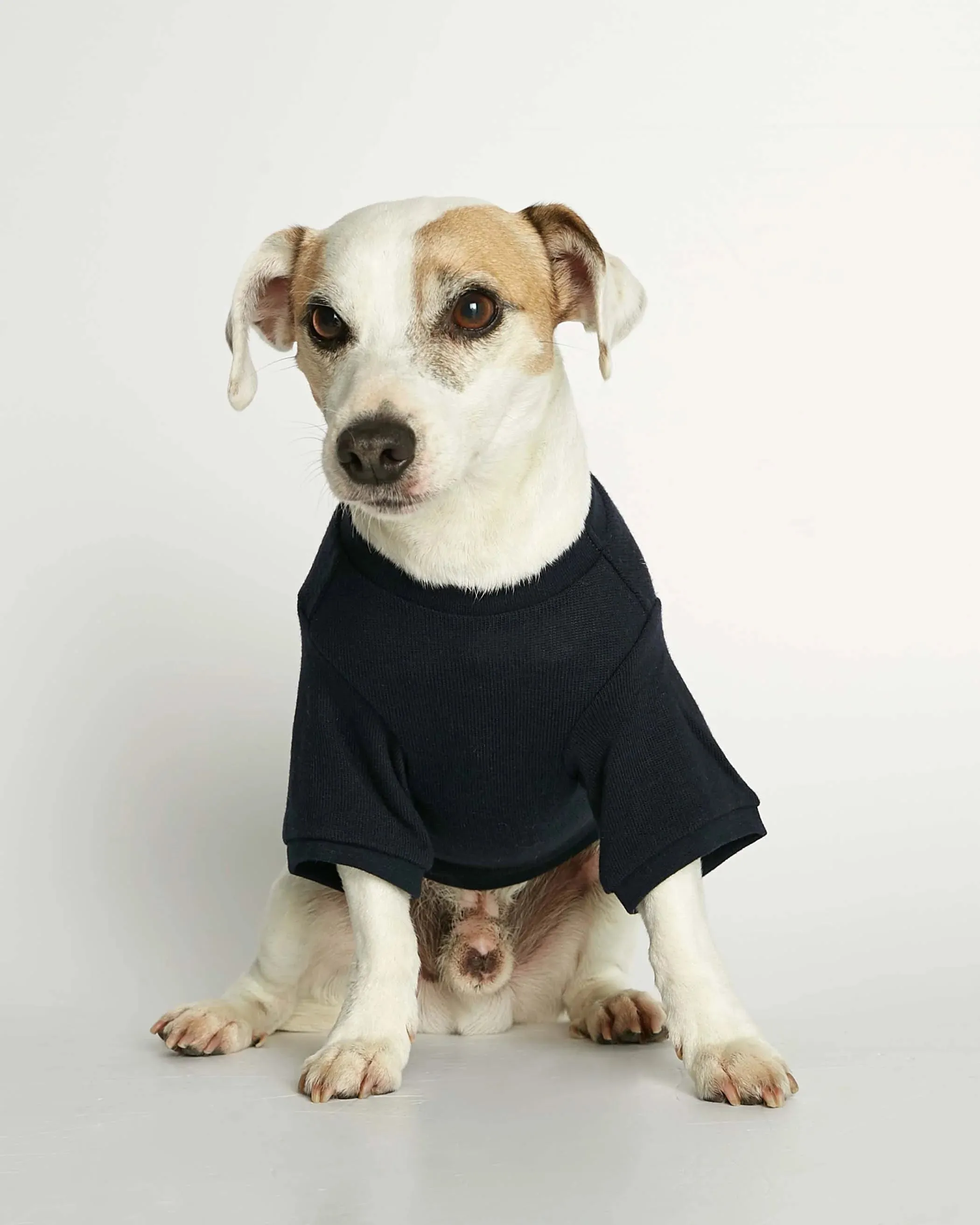 Eva Navy Organic Cotton Basic Dog T-shirt