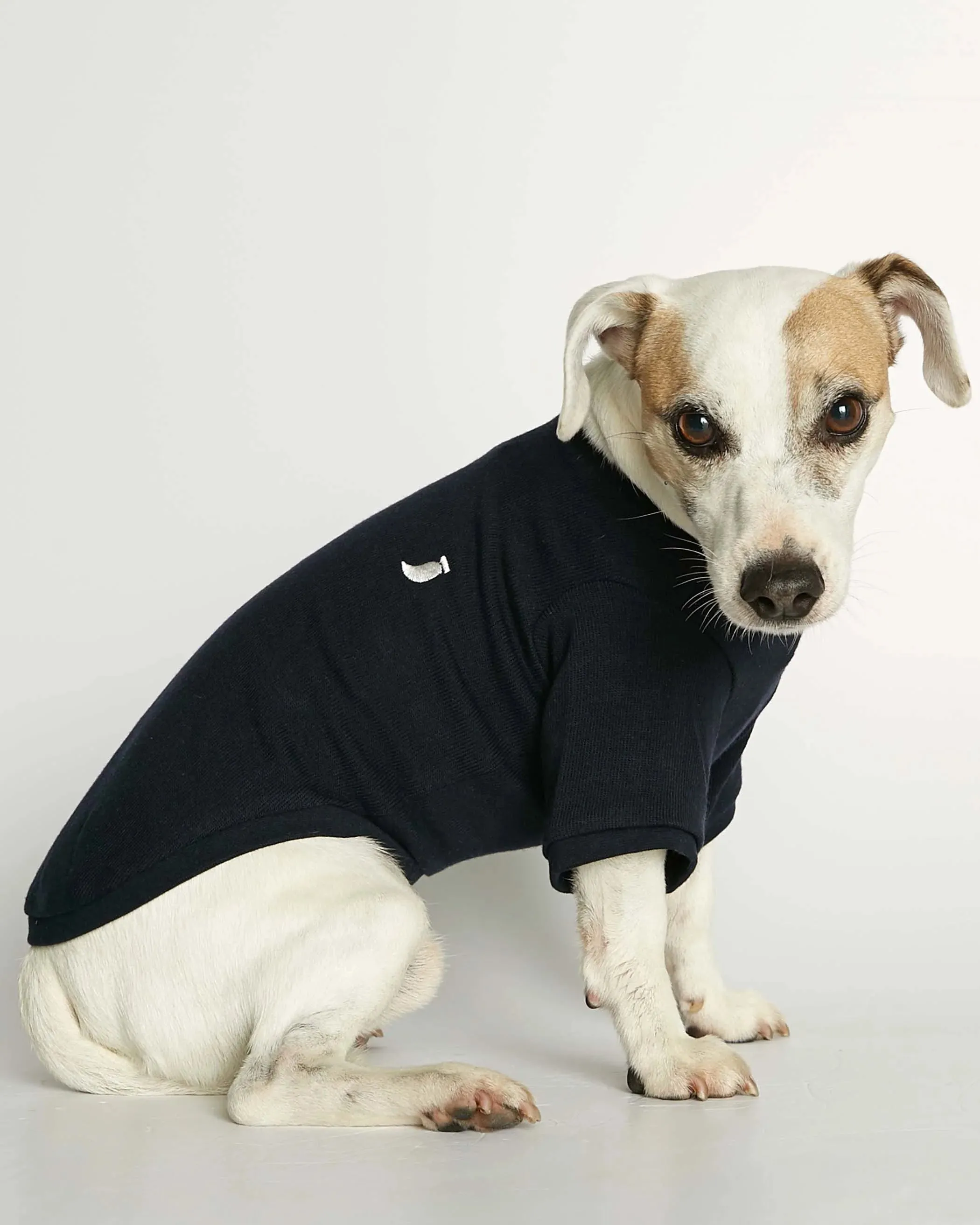 Eva Navy Organic Cotton Basic Dog T-shirt