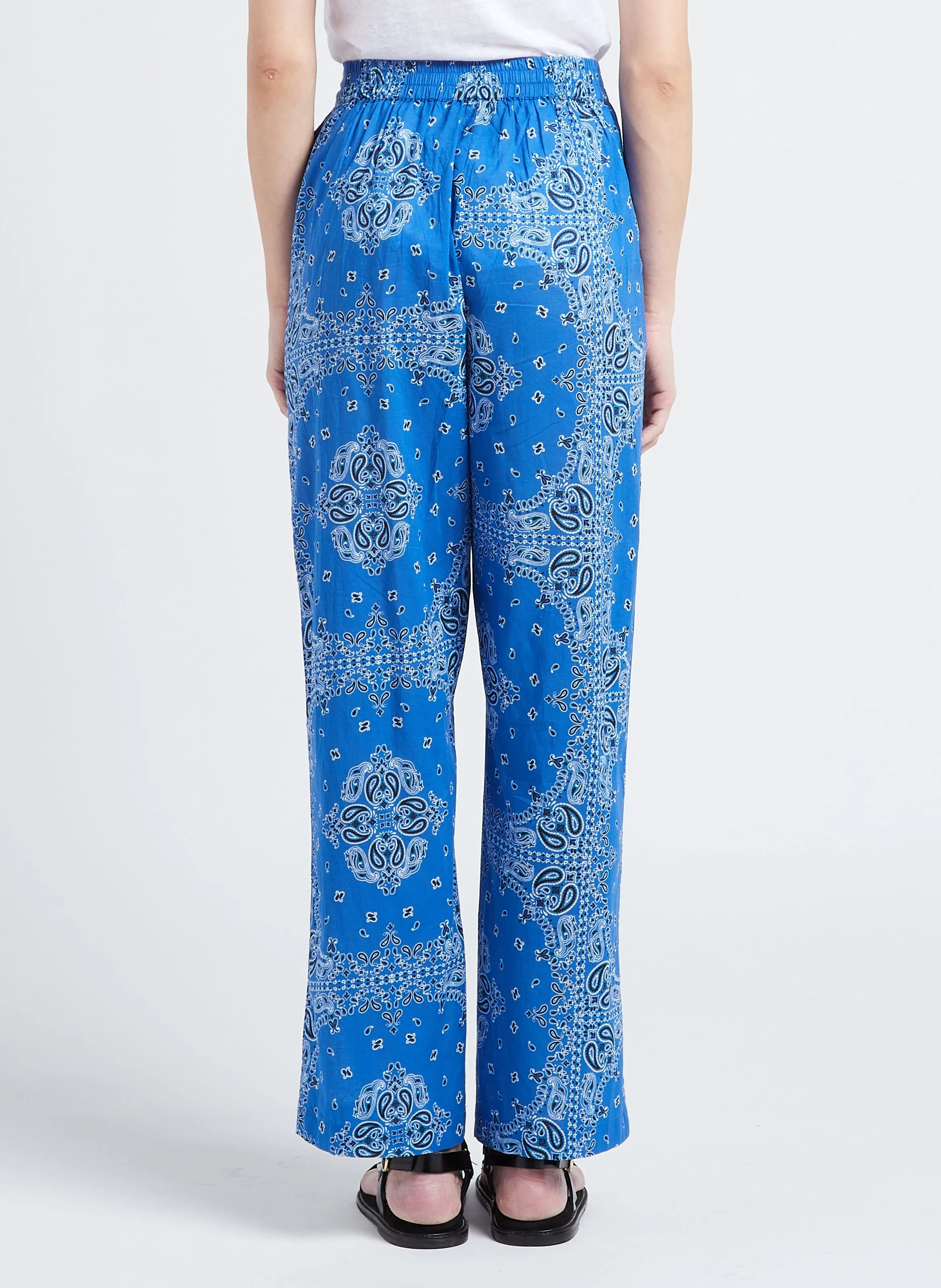 PANDANA - Pantalón recto de algodón estampado en azul